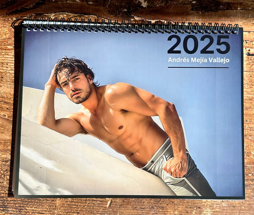 2025 Wall Calendar | AMV